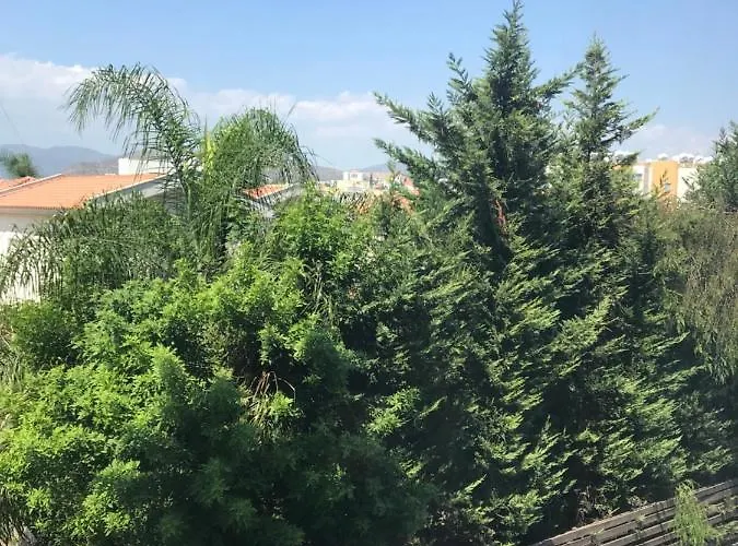 Galaxy Court Modern *